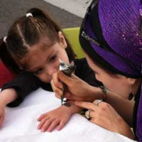 henna painting