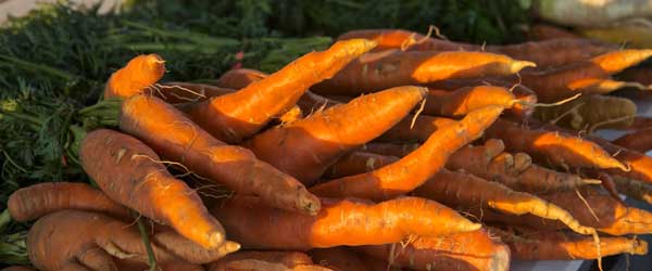 carrots